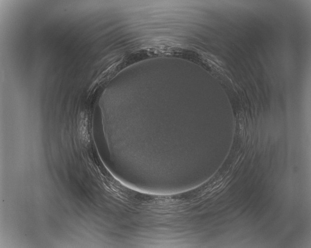 X0000058761060200509301012