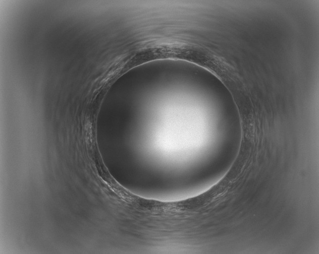 X0000058761061200509301012