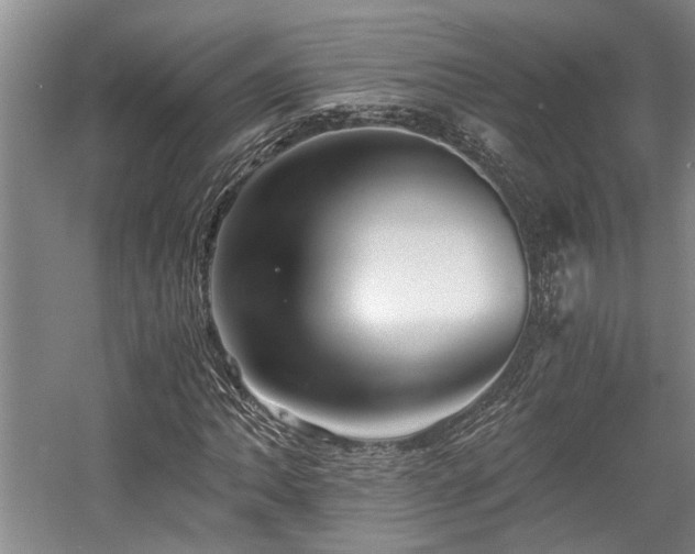 X0000058761062200509301012