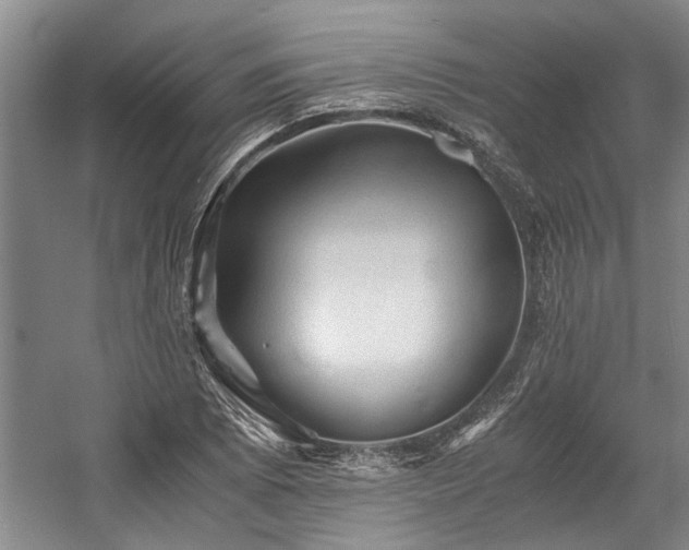X0000058761073200509301012