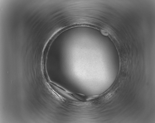 X0000058761076200509301012