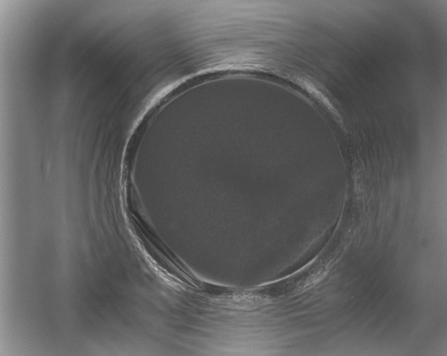 X0000058761077200509301011