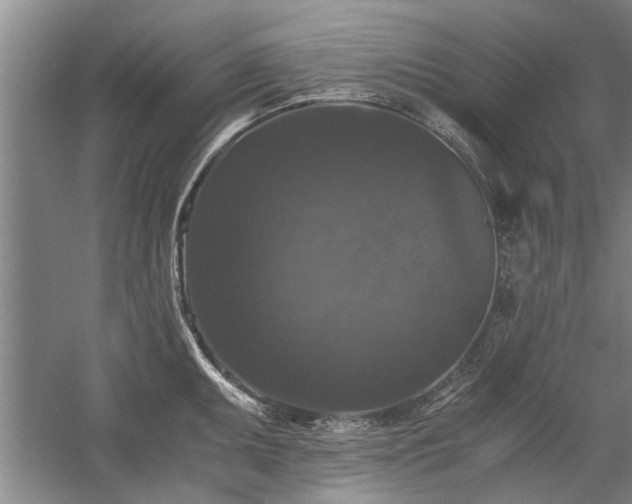 X0000058761095200509301011
