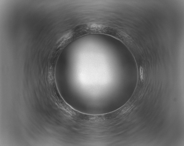 X0000058761107200509301010