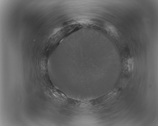 X0000058761110200509301010