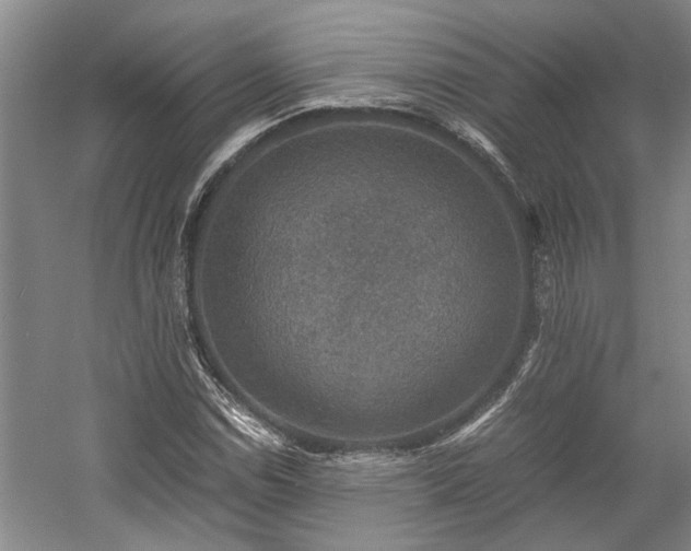X0000058761114200509301010