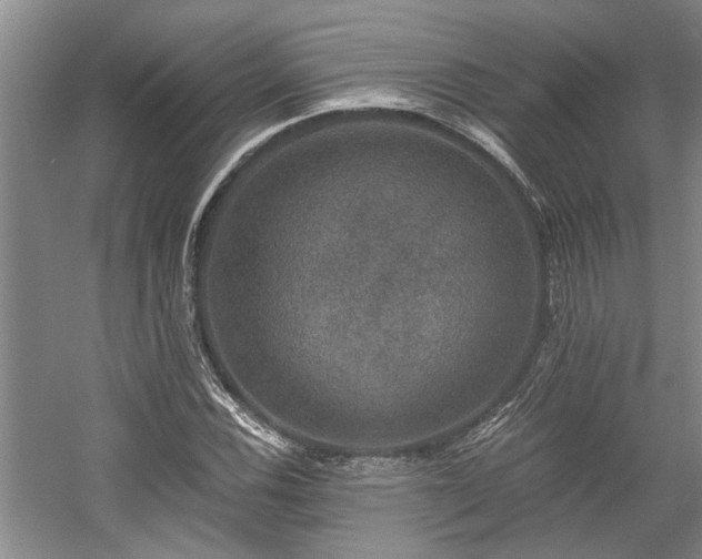 X0000058761116200509301010