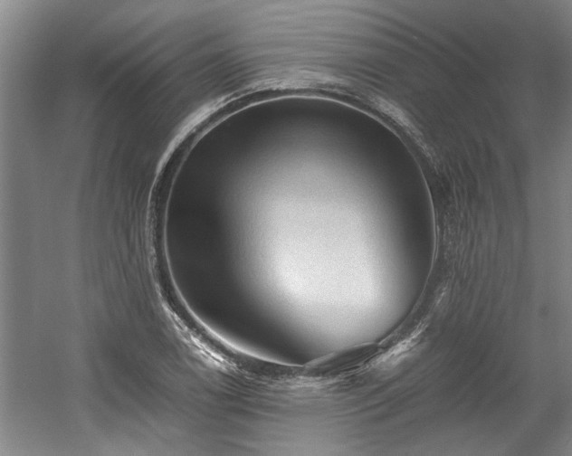 X0000058761122200509301011