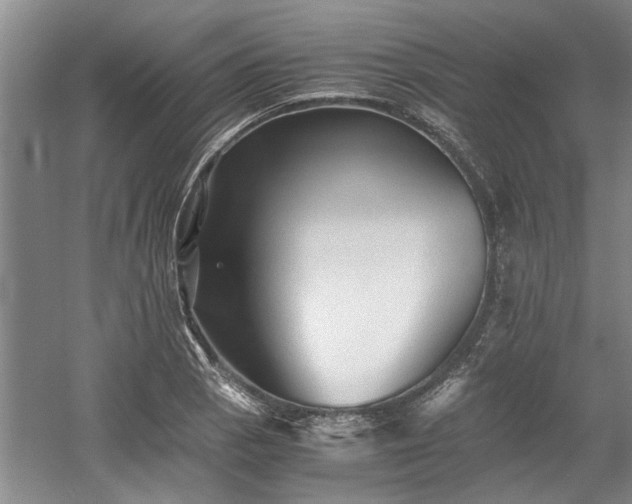 X0000058761129200509301011