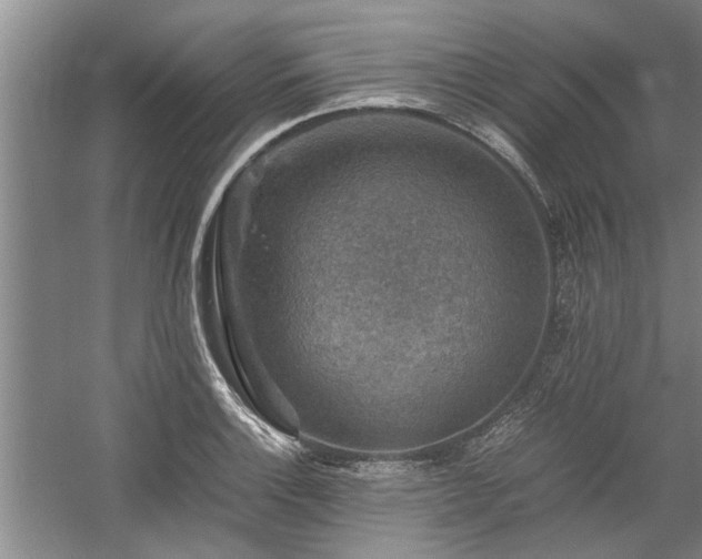 X0000058761132200509301011