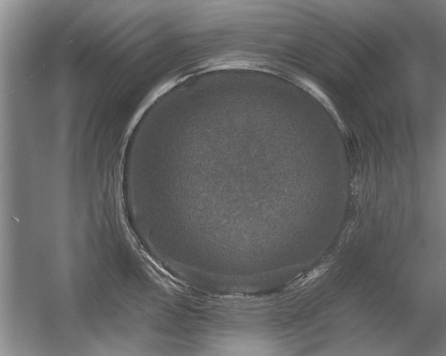 X0000058761146200509301011