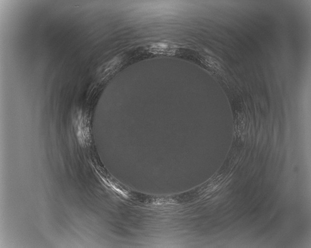 X0000058761154200509301010