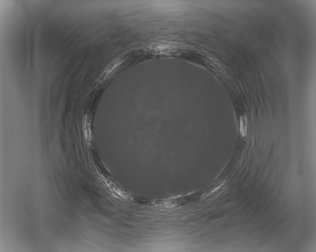 X0000058761155200509301010