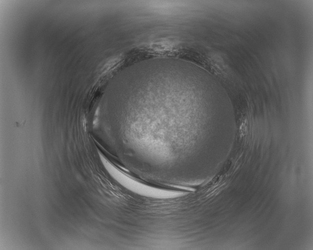 X0000058761156200509301010
