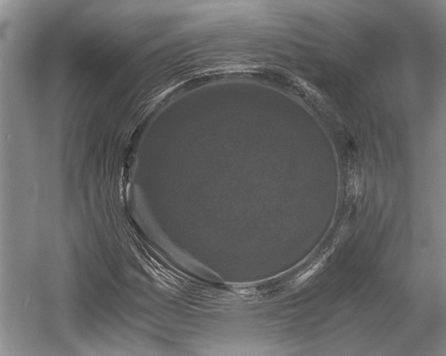 X0000058761161200509301010