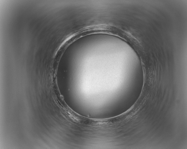 X0000058761166200509301010
