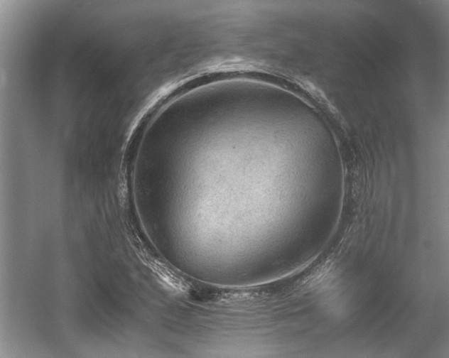 X0000058761167200509301010