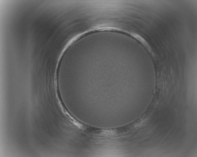 X0000058761191200509301010