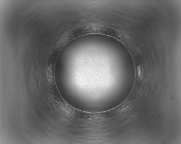 X0000058761203200509301009