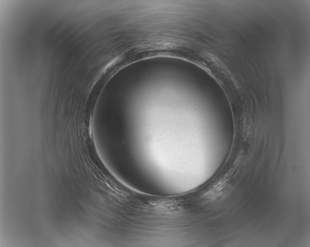 X0000058761210200509301009