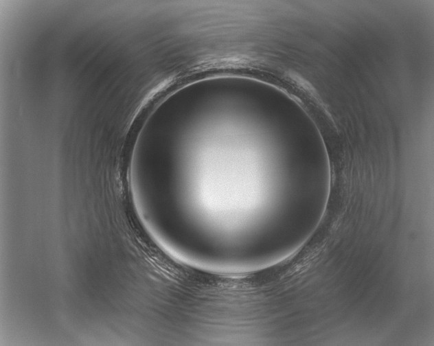 X0000058761218200509301009