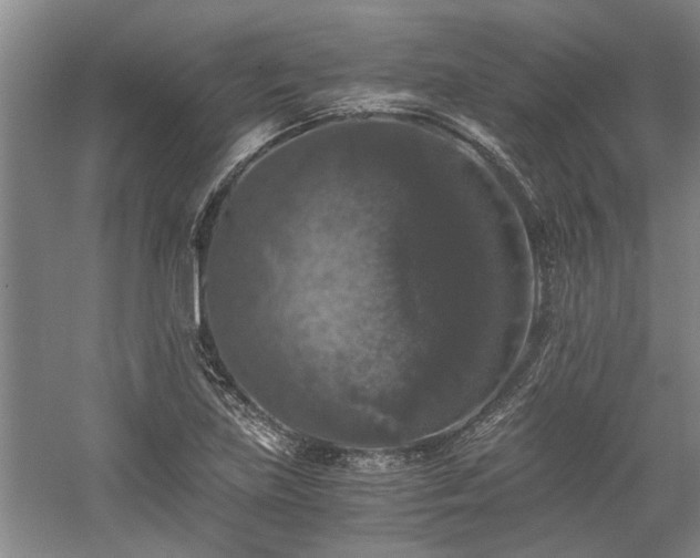 X0000058761219200509301009
