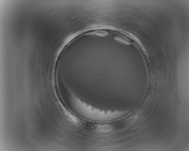 X0000058761231200509301009