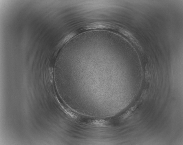 X0000058761233200509301009