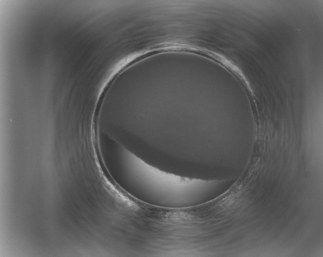 X0000058761239200509301009
