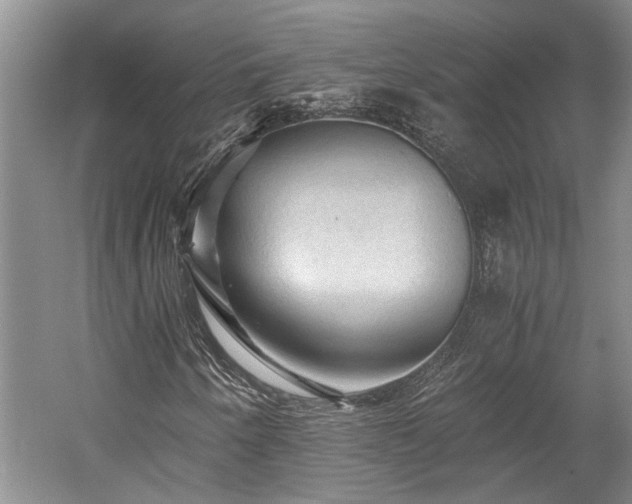 X0000058761250200509301009