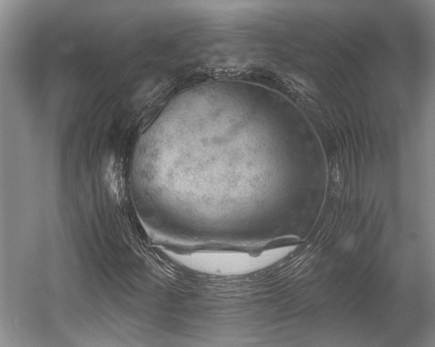 X0000058761252200509301009