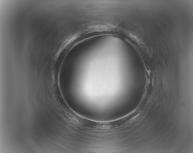 X0000058761261200509301008