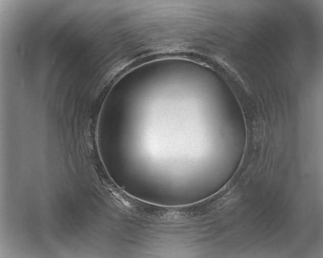 X0000058761265200509301008