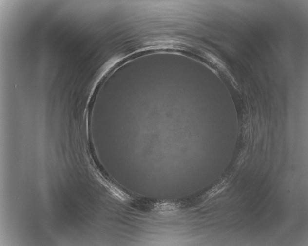 X0000058761275200509301008