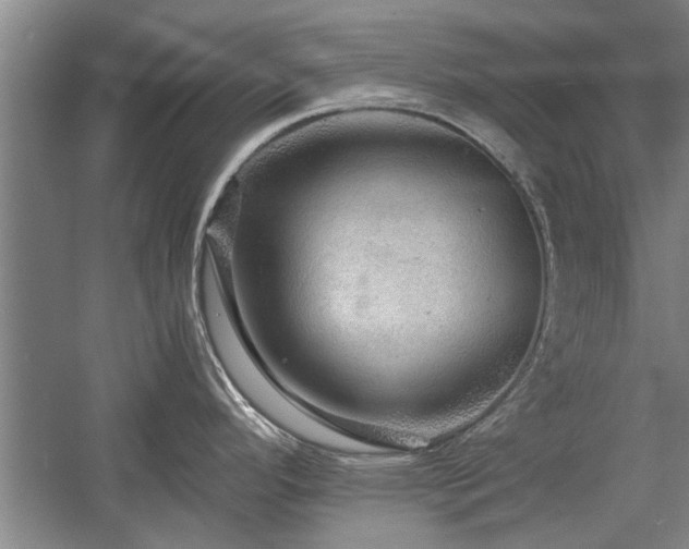X0000058761296200509301008