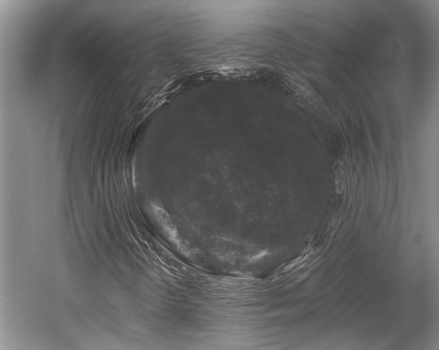 X0000058761298200509301007
