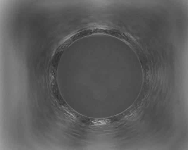 X0000058761303200509301007