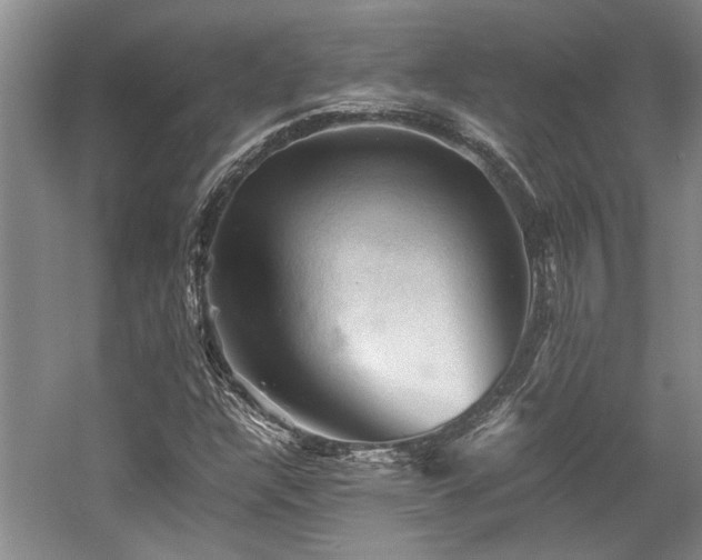 X0000058761304200509301007