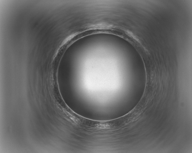 X0000058761315200509301007