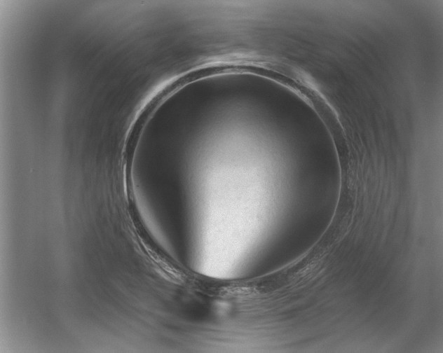 X0000058761320200509301007