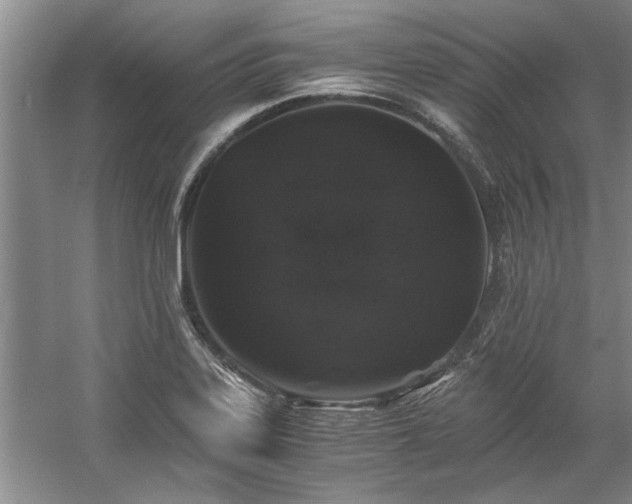X0000058761323200509301007