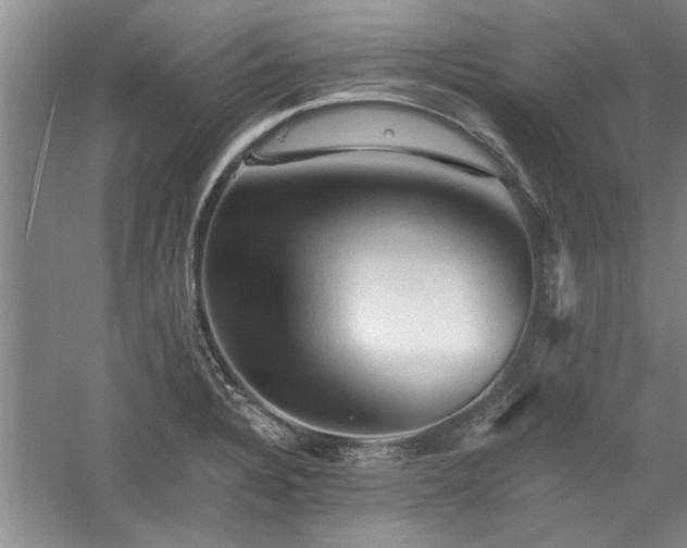 X0000058761328200509301007