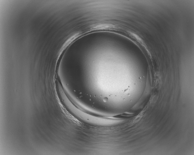 X0000058761330200509301008