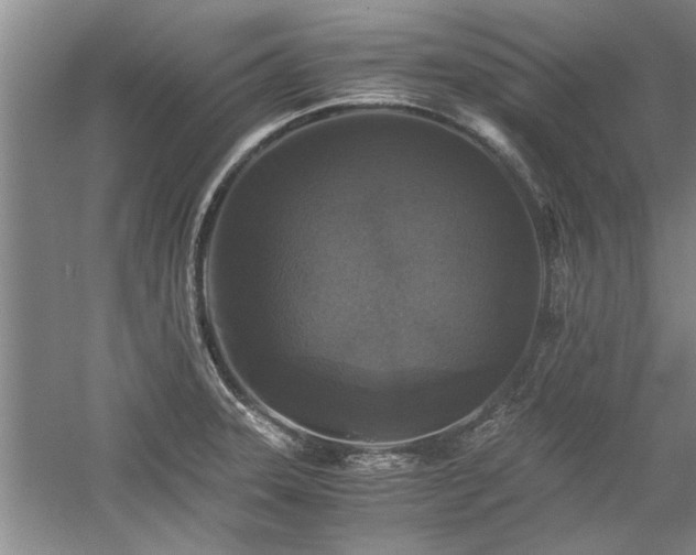X0000058761331200509301008