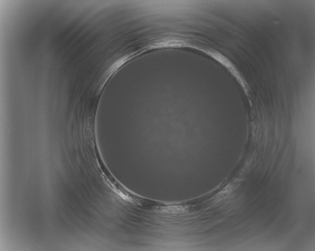 X0000058761337200509301008