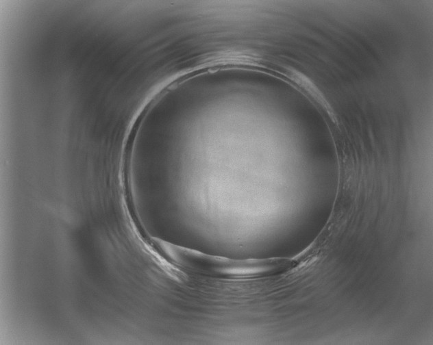 X0000058761339200509301008