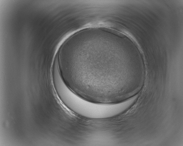 X0000058761344200509301008