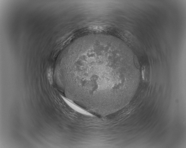 X0000058761347200509301007