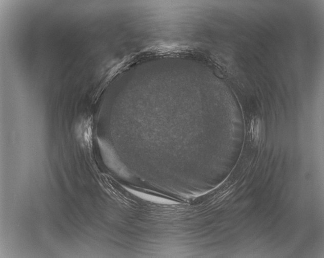 X0000058761348200509301007