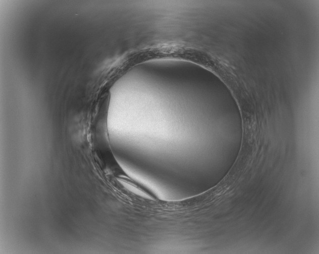 X0000058761349200509301007